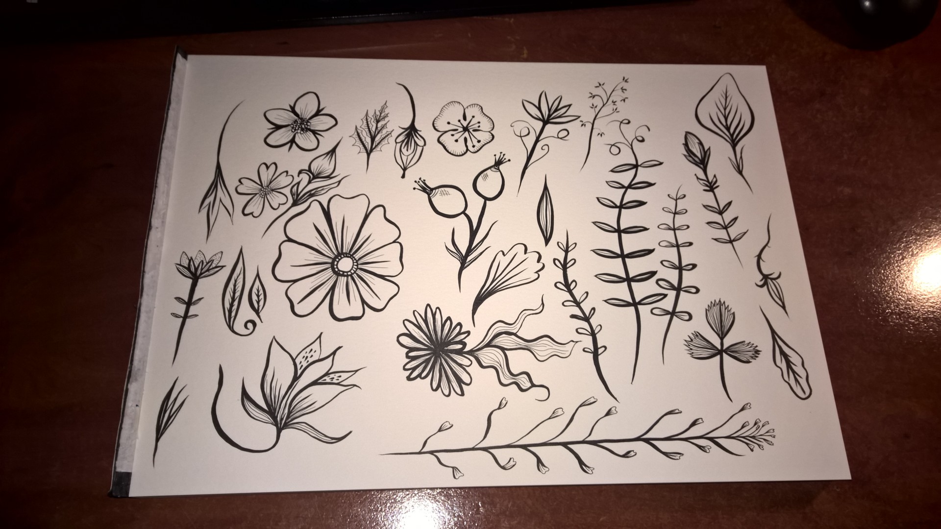 Floral Brush Pen Doodles | © Tasha Goddard 2015 | www.tashagoddard.com